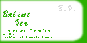 balint ver business card